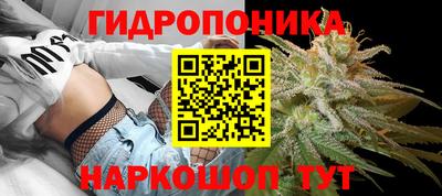 мяу мяу мука Малоярославец