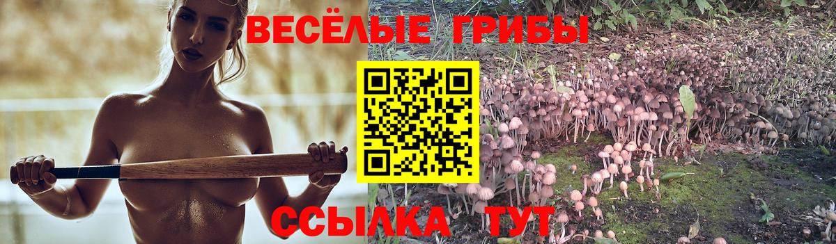 Псилоцибиновые грибы ЛСД Домодедово